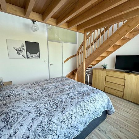 Miky Apartman Klinovec Garden Loučná pod Klínovcem Eksteriør billede