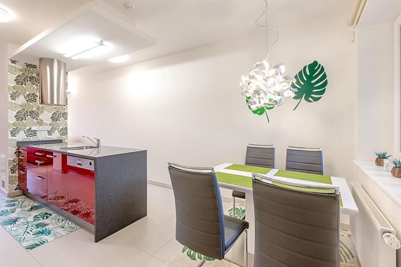 Miky Apartman Klinovec Garden Loučná pod Klínovcem Eksteriør billede